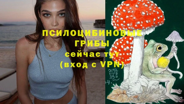 меф Дмитровск