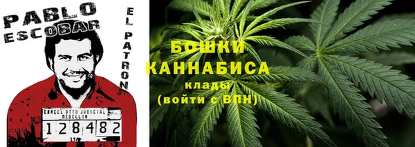 хмурый Дмитриев