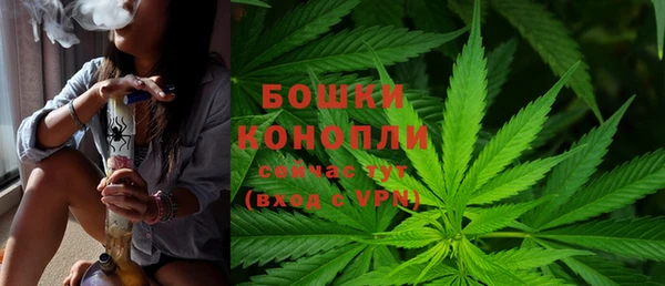 хмурый Дмитриев