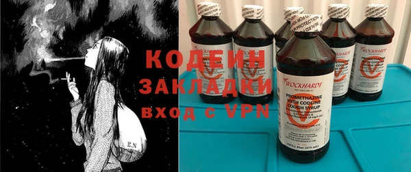 хмурый Дмитриев