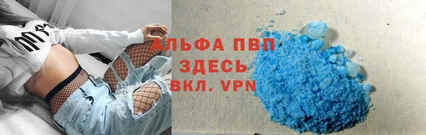 хмурый Дмитриев