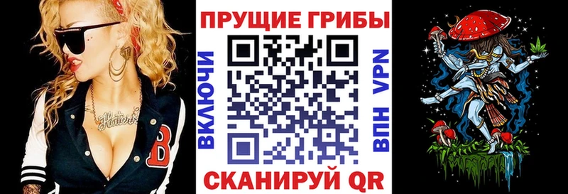 Псилоцибиновые грибы мицелий  KRAKEN вход  Владивосток 