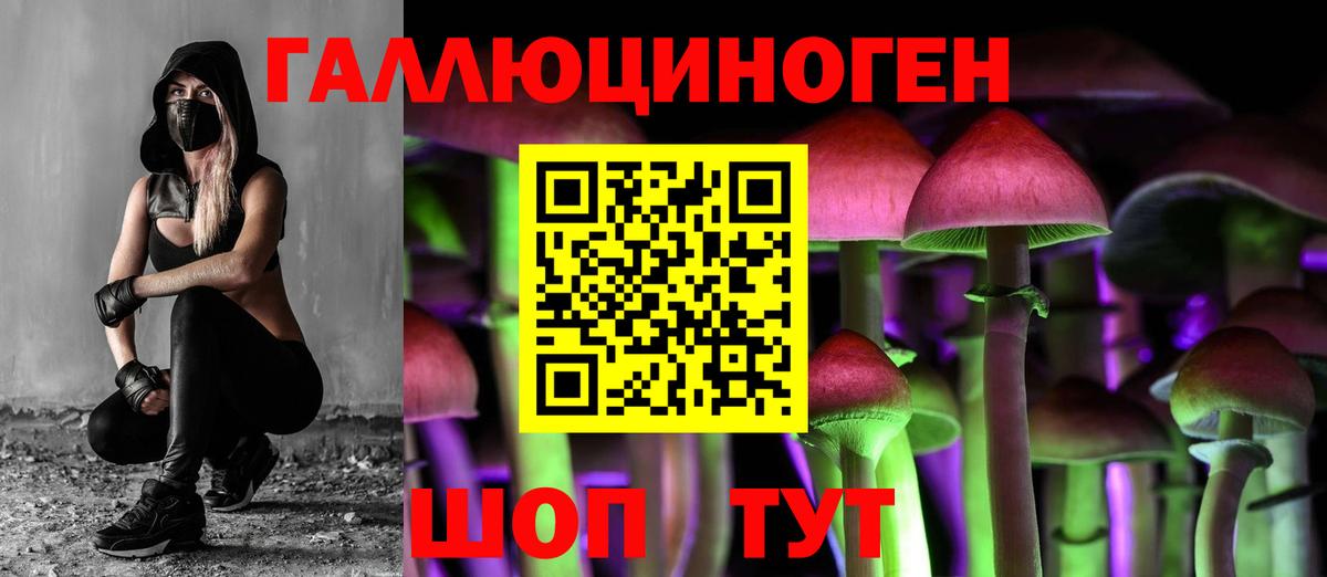 Псилоцибиновые грибы Magic Shrooms Владивосток