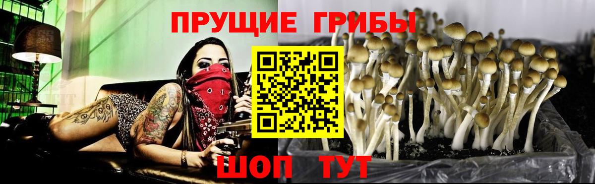 Псилоцибиновые грибы прущие грибы  Вход с VPN  Владивосток 