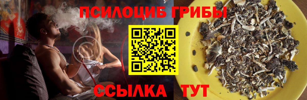 Псилоцибиновые грибы Magic Shrooms  Галлюциногенные грибы MAGIC MUSHROOMS  Владивосток 